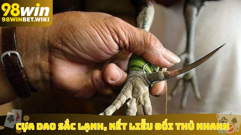 Cựa dao sắc lạnh, kết liễu đối thủ nhanh